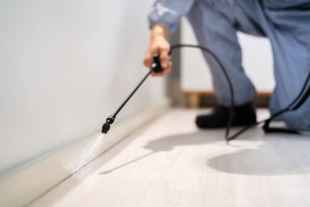 Bed Bug Pre-Treatment Preparation Assessment in Oak Valley