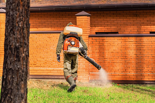 Bed Bug Clearance Verification and Documentation in Oak Valley